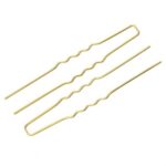 Premium Metal French Hair Pins – Large U-Shaped Hair Fork Clips