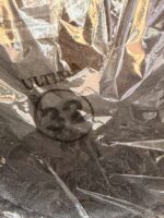 Premium Blouse Cup / Pad (Size 32)(Black)