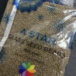 A-STAR Antique Gold Glass Seed/Sugar Beads - 450g Pack