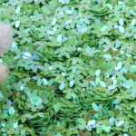 Miniature Flower-Shaped Resin Sequins - Image 2