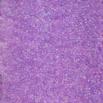 Iridescent Glass Seed Bead Collection -Multi shade- Translucent Luster Finish (11/0) - Image 17