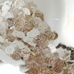 Silver-Plated Deity lakshmi Coins for Traditional Malas and Boutique Crafts(14mm)