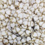 Premium White Glossy Kundan Stones with Gold-Toned Border(Heart Shape) (Pack of 50g)