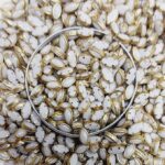 Premium White Glossy Kundan Stones with Gold-Toned Border(Eye Shape) (Pack of 50g) - Image 2