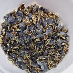 Traditional Gold-Plated Kundan Stones – Faceted Glass Crystals in Brass Metal Settings for Aari Embroidery, Bridal Lehengas, and Jewelry Making (Moon)(Pack of 50g)