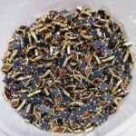 Traditional Gold-Plated Kundan Stones – Faceted Glass Crystals in Brass Metal Settings for Aari Embroidery, Bridal Lehengas, and Jewelry Making (Diamond/Rhombus)(Pack of 50g)