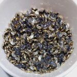 Premium Moon Kundan Stones – White & Champagne Faceted Crystals in Gold-Plated Brass Settings for Aari Embroidery, Bridal Couture, and Jewelry Making(50g)