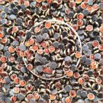 Round Kundan Stones in Gold-Finished Prong Settings(4mm)(50g) - Image 12