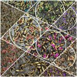 Half-Moon (Crescent) Kundan Stones in Gold-Finished Settings (4x8)(50g)