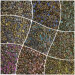 Round Kundan Stones in Gold-Finished Prong Settings(4mm)(50g)