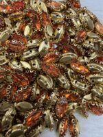 Professional Aari & Jewelry Clip Stone Collection | Eye Shapes (10x5)(20Pc) - Image 4