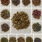 Professional Aari ; Jewelry Clip Stone Collection | Eye Shapes (15x4)(20Pc)