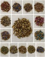 Professional Aari ; Jewelry Clip Stone Collection | Eye Shapes (15x4)(20Pc)